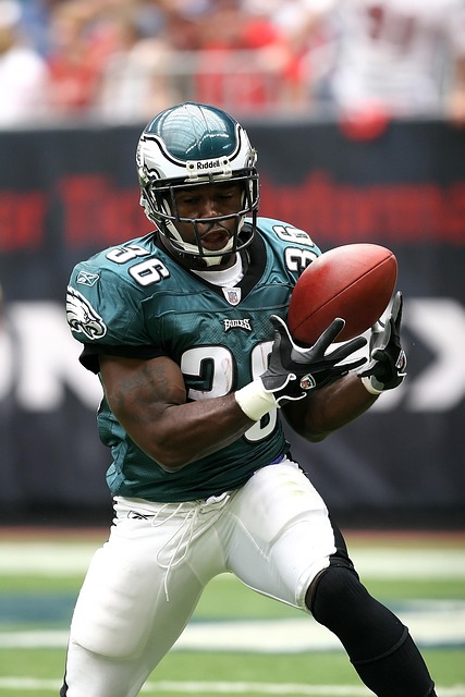 现有优势的 现有优势的